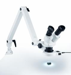 Auflicht-Stereo-Mikroskop mit LED-Auflicht-Ringleuchte und Federgelenkarm